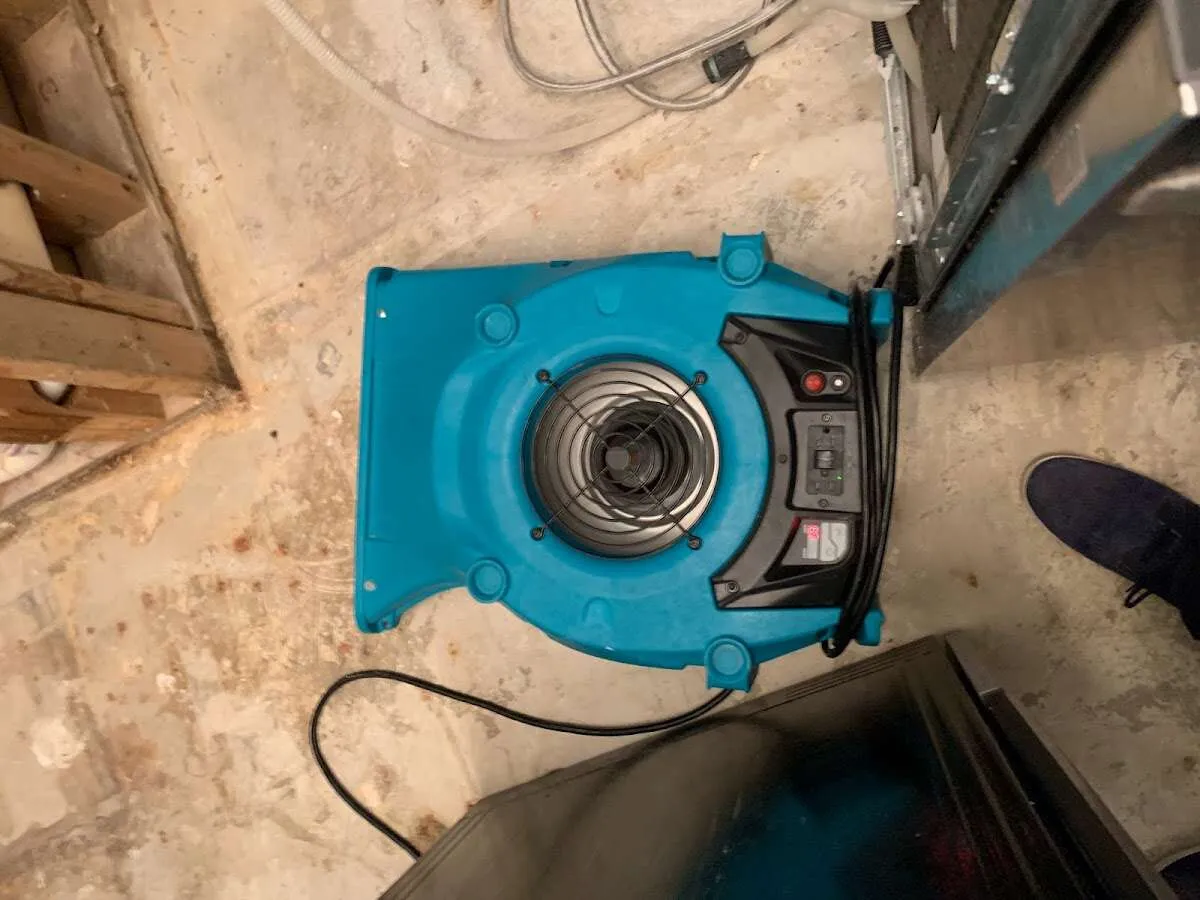 Air mover drying equipment for Mold Remediation & Removal in Belle Chasse